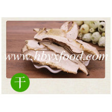 Dried Shiitake Champignon Mushroom Slice